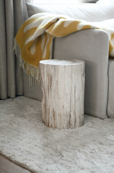 Petrified wood - Side table