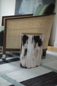 Petrified wood  - Side table