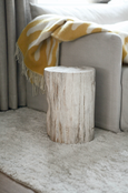 Petrified wood  - Side table