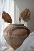 Palm Leafs in big ceramic vase in the sun